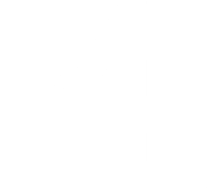 logo_f4l